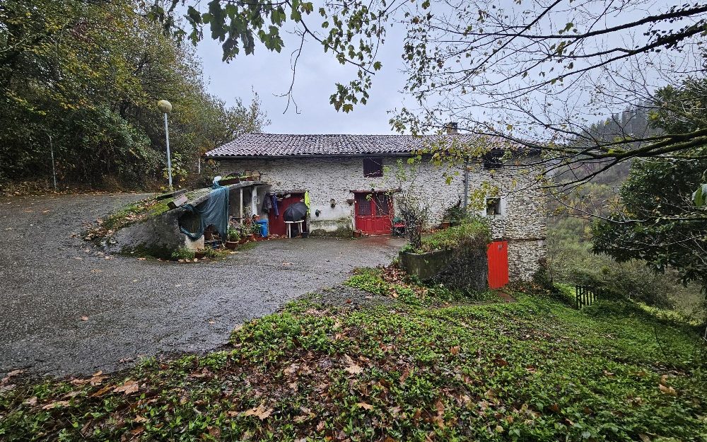 CASERIO CON AMPLIO TERRENO EN ORDIZIA » A REFORMAR»